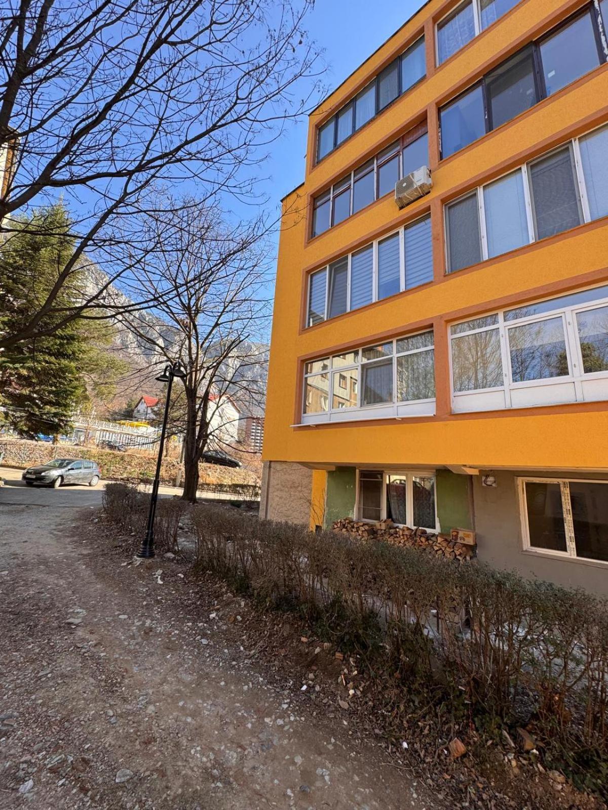 Linen Tree Apartment Băile Herculane Exterior foto